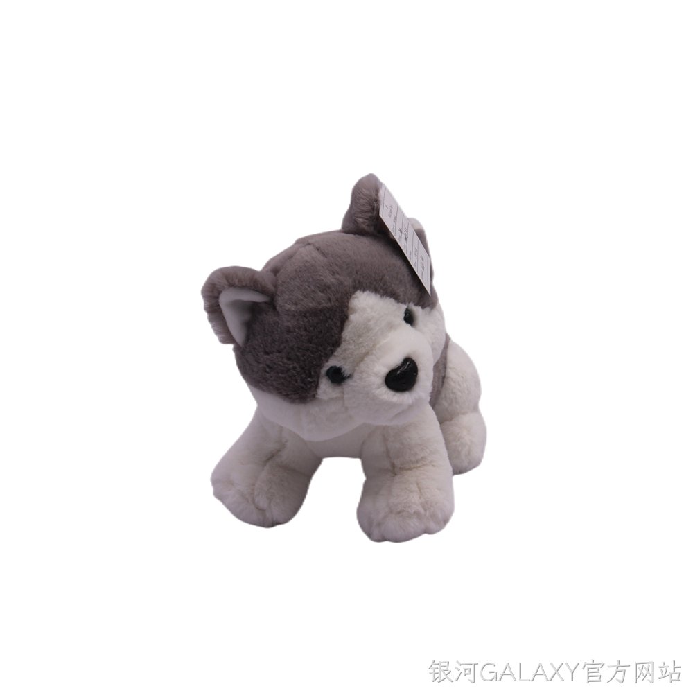 哈士奇