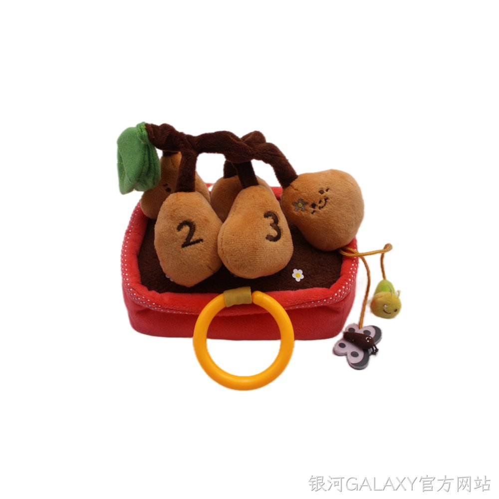 土豆盆栽